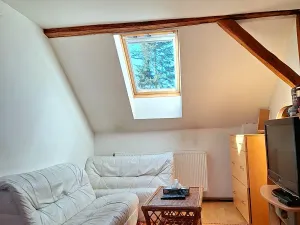 Prodej chalupy, Svojšín, 246 m2