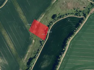 Prodej pole, Zdounky, 7967 m2