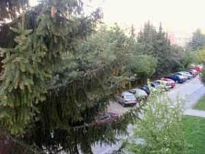 Pronájem bytu 1+kk, Brno, Vídeňská, 27 m2