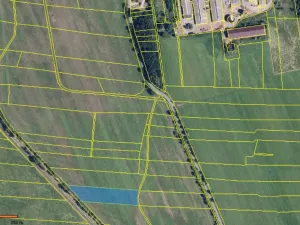 Prodej pole, Bohuslavice, 116905 m2