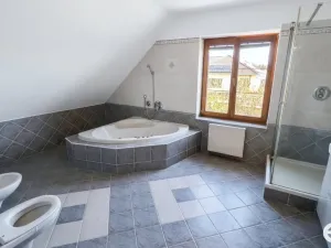 Pronájem rodinného domu, Nedabyle, 229 m2