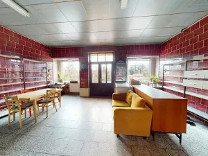 Prodej rodinného domu, Sloupnice, 314 m2