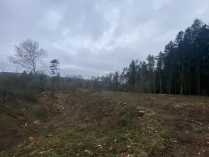 Prodej lesa, Blížejov - Lštění, 7793 m2