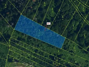 Dražba lesa, Mladoňovice, 2344 m2