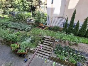 Pronájem bytu 2+kk, Brno, Botanická, 56 m2