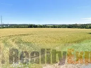 Pronájem výrobních prostor, Soutice, 1755 m2