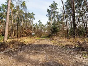 Prodej pozemku pro bydlení, Hradištko, Kersko, 4428 m2