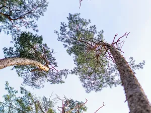 Prodej pozemku pro bydlení, Hradištko, Kersko, 4428 m2