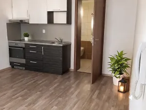 Pronájem bytu 1+kk, Chrudim, Pobřežní, 23 m2