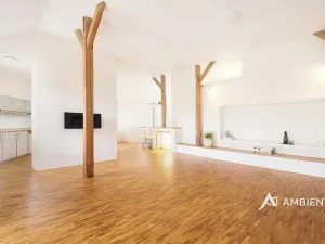 Prodej bytu 6+kk a větší, Brno, Čápkova, 209 m2