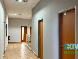 Pronájem kanceláře, Ostrava, Pavlovova, 13 m2