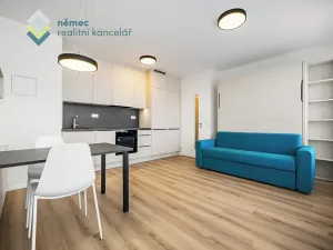 Pronájem bytu 1+kk, Praha - Kamýk, Hodkovická, 30 m2