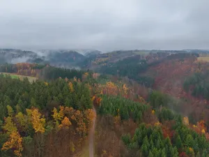 Prodej lesa, Lukavice, 90440 m2