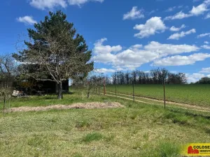 Prodej zahrady, Ostopovice, 409 m2