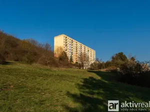 Prodej bytu 3+1, Ústí nad Labem - Severní Terasa, Brandtova, 78 m2