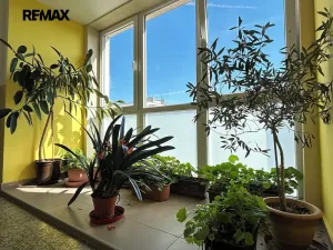 Prodej bytu 1+1, Praha - Letňany, Tupolevova, 32 m2