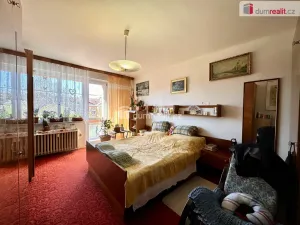 Prodej bytu 2+1, Ostrov, Hlavní třída, 75 m2