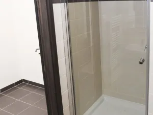 Pronájem bytu 1+kk, Plzeň - Jižní Předměstí, Nemocniční, 30 m2