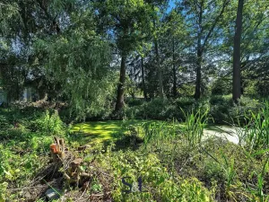 Prodej pozemku pro bydlení, Žandov, 1527 m2