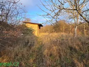 Pronájem zahrady, Brno, Podhájí, 1359 m2