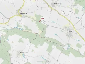 Dražba lesa, Dolní Vilémovice, 1957 m2