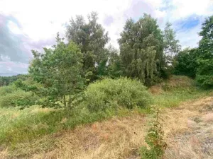 Dražba louky, Aš, 2675 m2