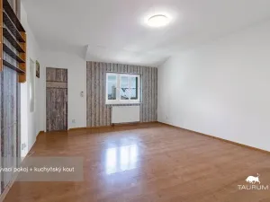 Prodej bytu 2+kk, Plzeň - Jižní Předměstí, Karlova, 51 m2