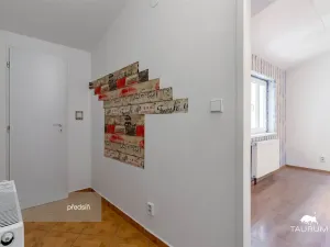 Prodej bytu 2+kk, Plzeň - Jižní Předměstí, Karlova, 51 m2