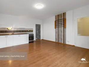 Prodej bytu 1+1, Plzeň - Jižní Předměstí, Karlova, 51 m2