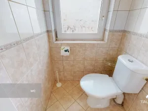 Prodej bytu 1+1, Plzeň - Jižní Předměstí, Karlova, 51 m2