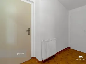 Prodej bytu 1+1, Plzeň - Jižní Předměstí, Karlova, 51 m2