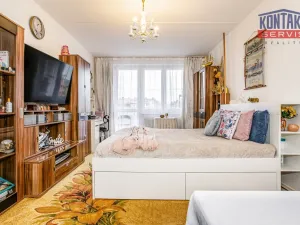 Prodej bytu 2+1, Písek, Třebízského, 60 m2