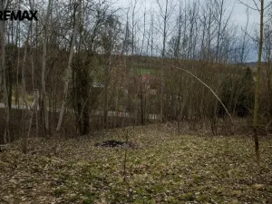 Prodej zahrady, Brtnice, 2388 m2