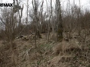 Prodej zahrady, Brtnice, 2388 m2