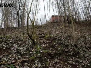 Prodej zahrady, Brtnice, 2388 m2