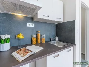 Pronájem bytu 1+kk, Praha - Břevnov, Na břevnovské pláni, 18 m2