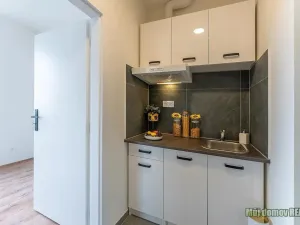 Pronájem bytu 2+1, Praha - Břevnov, Na břevnovské pláni, 30 m2