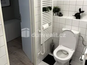 Pronájem bytu 2+1, Roudnice nad Labem, Alej 17. listopadu, 63 m2