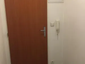 Pronájem bytu 1+kk, Praha - Vysočany, Freyova, 17 m2