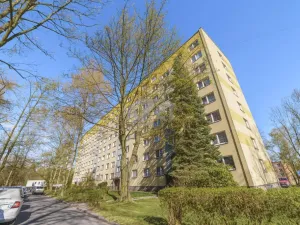 Prodej bytu 2+1, Orlová - Lutyně, Osvobození, 52 m2