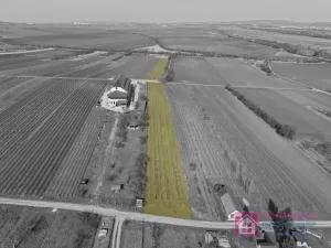 Prodej sadu/vinice, Rakvice, Horní, 9203 m2