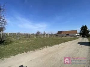 Prodej sadu/vinice, Rakvice, Horní, 9203 m2