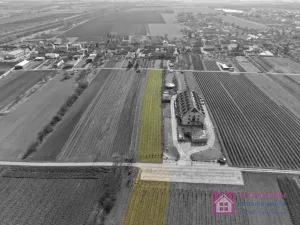 Prodej sadu/vinice, Rakvice, Horní, 9203 m2