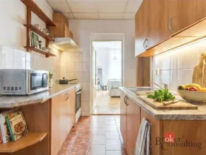 Prodej bytu 2+kk, Praha - Žižkov, Hartigova, 54 m2