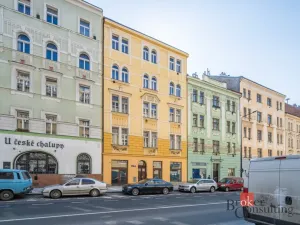 Prodej bytu 2+kk, Praha - Žižkov, Hartigova, 54 m2