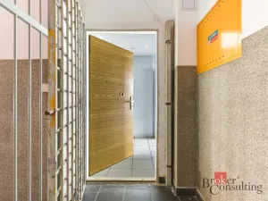 Prodej bytu 2+kk, Praha - Žižkov, Hartigova, 54 m2