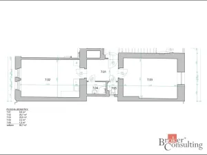 Prodej bytu 2+kk, Praha - Žižkov, Hartigova, 53 m2