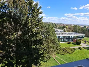 Prodej bytu 1+1, Brno, Halasovo náměstí, 29 m2