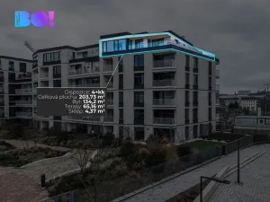 Pronájem kanceláře, Ostrava, F. X. Riepla, 203 m2