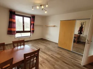 Pronájem bytu 1+kk, Beroun - Beroun-Město, Pod Homolkou, 33 m2